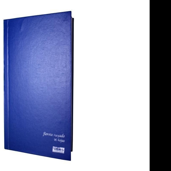 LIBRO FLORETE DIARIO AZUL INTERLIB FF.96H.PZA